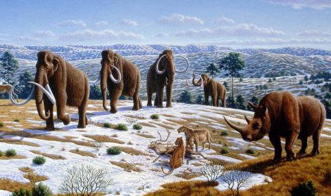 Animales del paleolítico