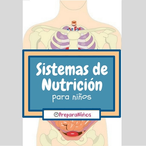 Sistemas de Nutrición para Niños