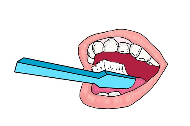 La digestión: La boca y los dientes
