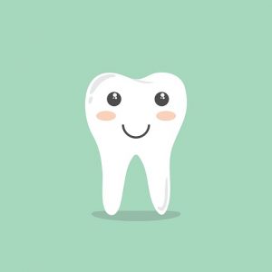 Sistema digestivo: La boca y los dientes