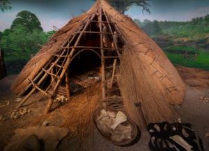 La Vida En El Neolitico