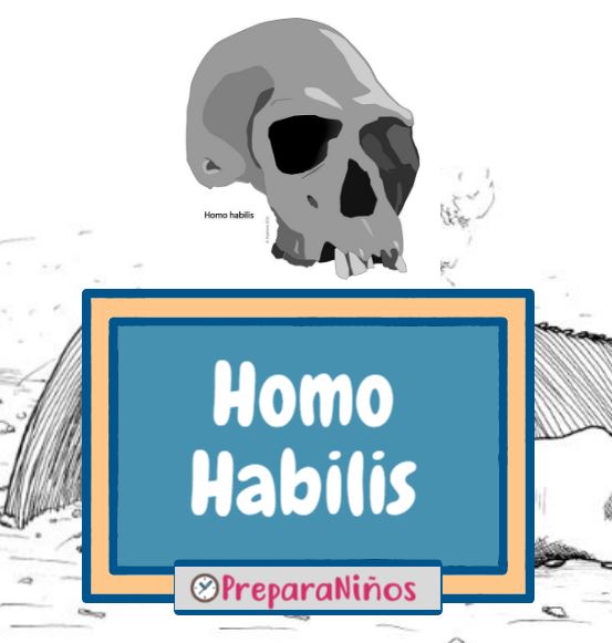 Homo Habilis para niños
