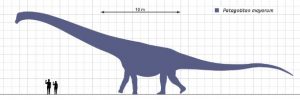 Patagotitan, el dinosaurio mas grande