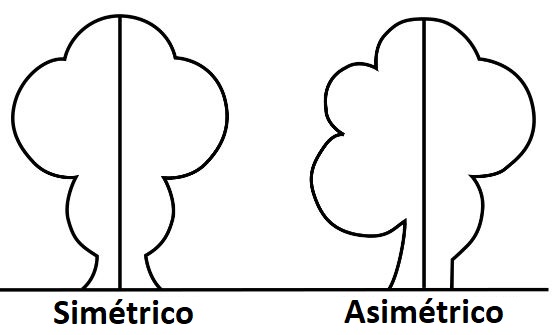 Simetrico y Asimetrico