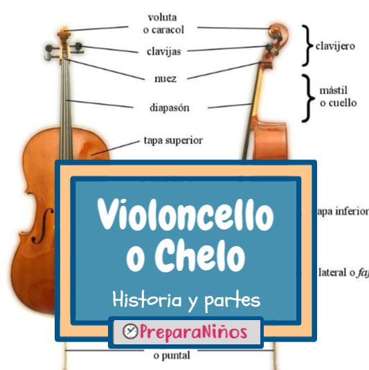 Buen sentimiento Evolucionar Mínimo El Chelo o Violonchelo: Sus Partes, Historia e Información para Niños