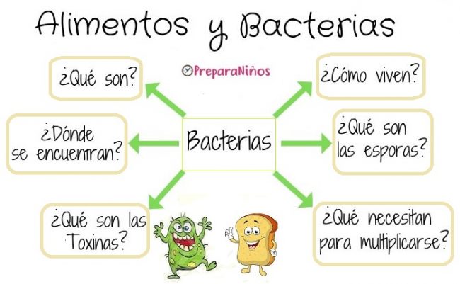 Características de las Bacterias